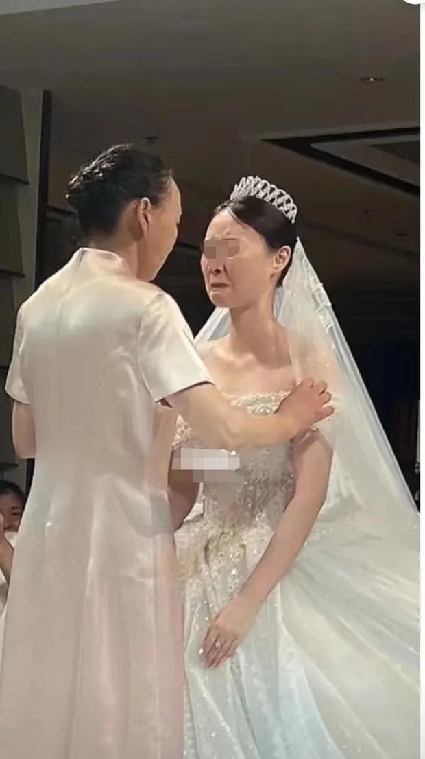 参加前任的婚礼，新娘突然冲过来扇我耳光