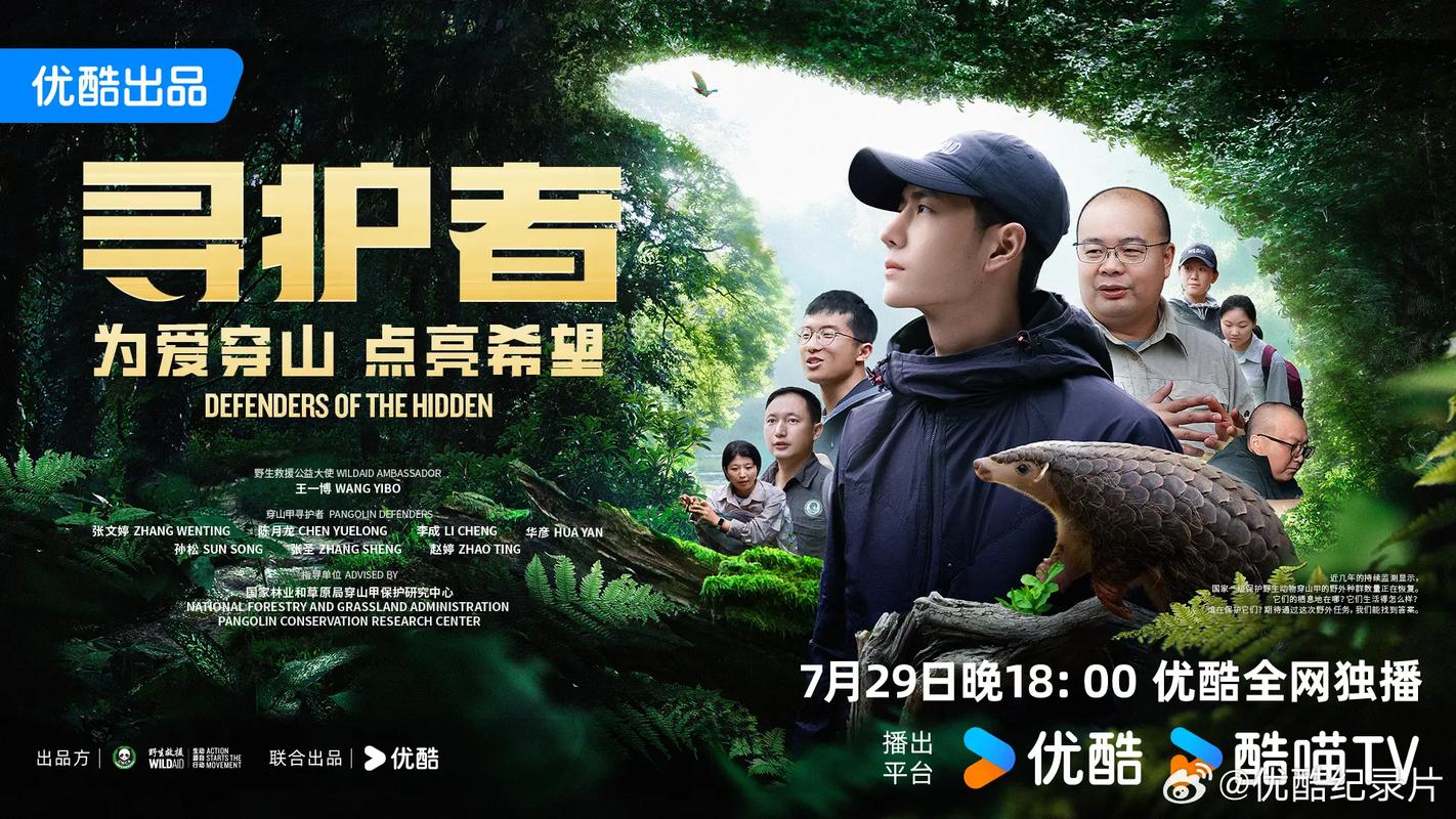 短剧拍摄中的森林保护意识