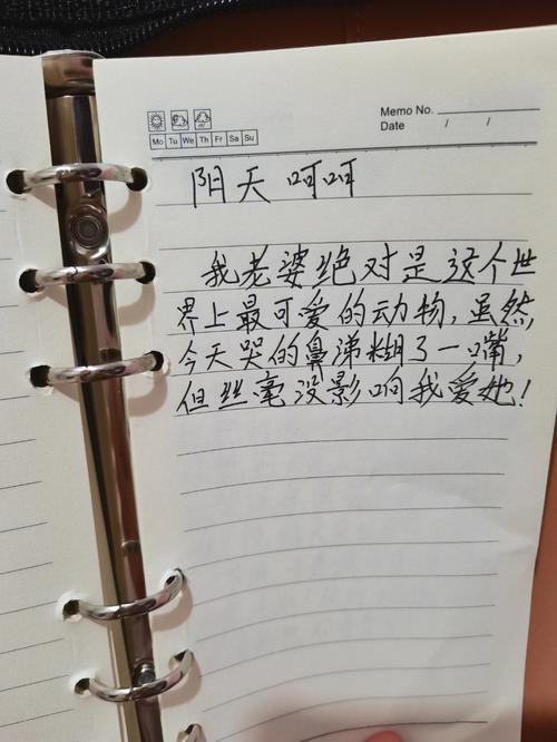 发现老公藏的日记本，里面写着他是个双面间谍