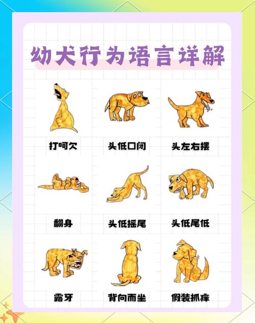 短剧的肢体语言:如何用动作代替对白